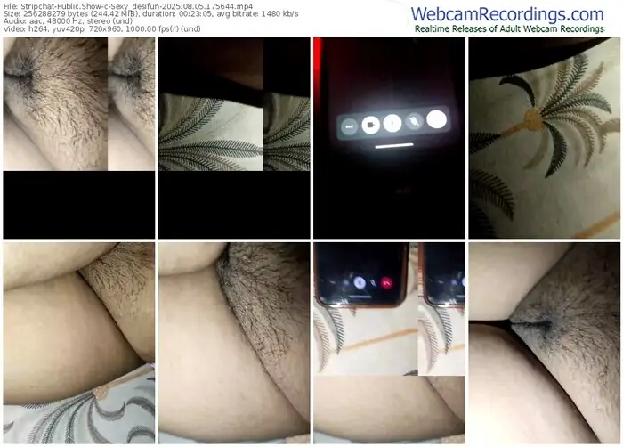 2025/08/05/stripchat-sexy_desifun-17-56-44