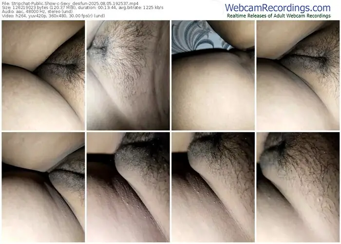 2025/08/05/stripchat-sexy_desifun-19-25-37