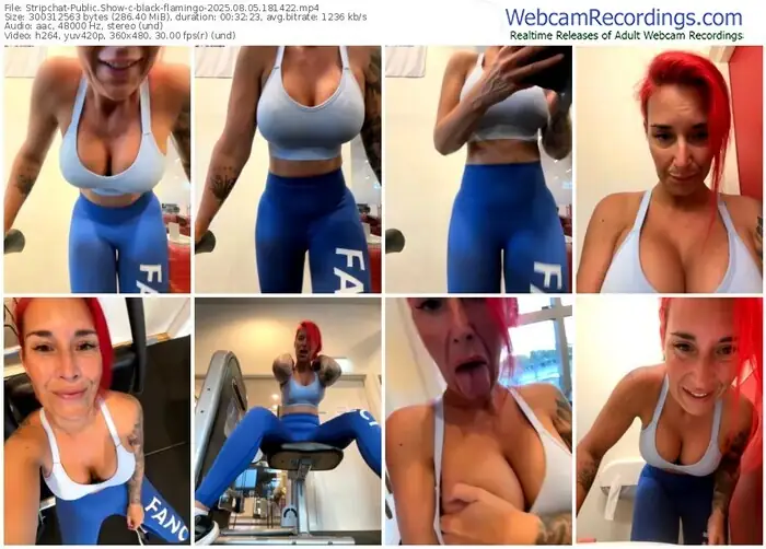 2025/08/05/stripchat-black-flamingo-18-14-22