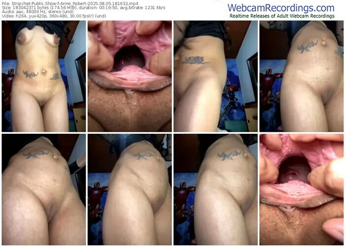 2025/08/05/stripchat-anne_robert-18-16-32