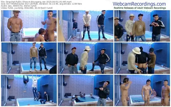 2025/08/05/stripchat-boysgang_sex-19-14-45