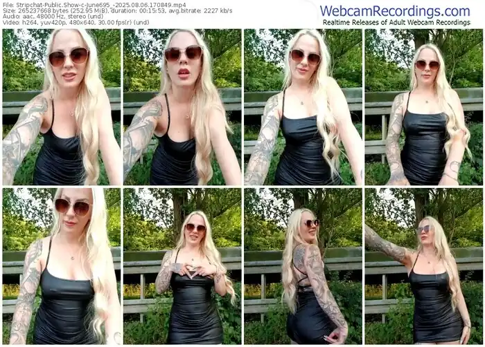 2025/08/06/stripchat-june695_-17-08-49