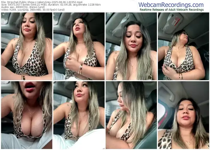 2025/08/06/stripchat-valerygrey-14-33-52