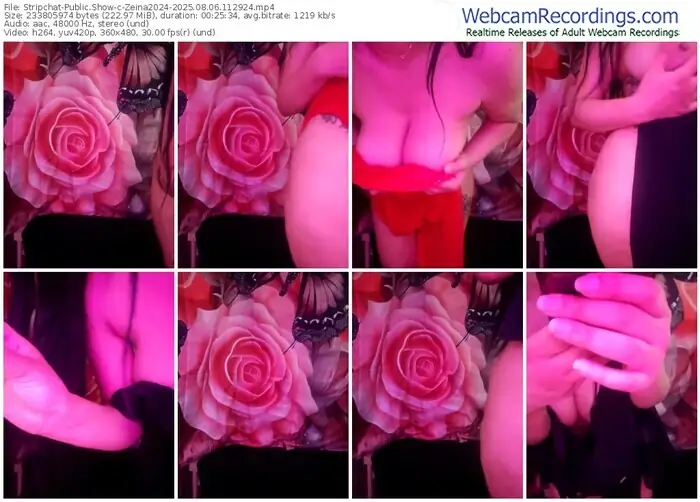 2025/08/06/stripchat-zeina2024-11-29-24
