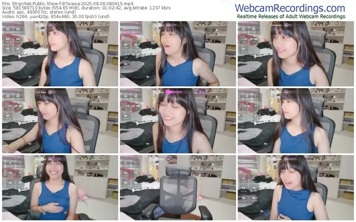 2025/08/06/stripchat-87wawa-08-04-15