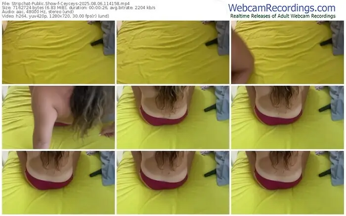 2025/08/06/stripchat-ceyceys-11-41-58
