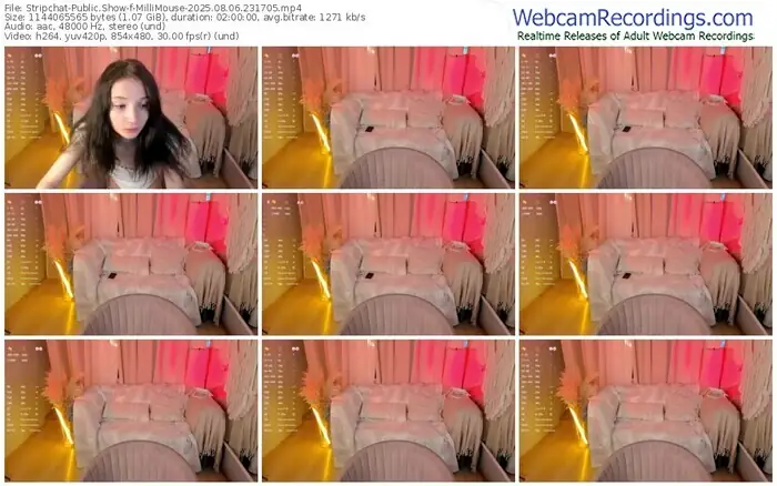 2025/08/06/stripchat-millimouse-23-17-05