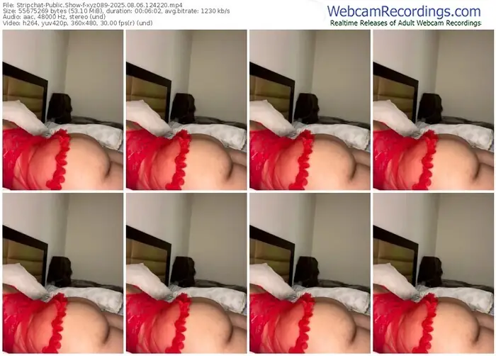 2025/08/06/stripchat-xyz089-12-42-20