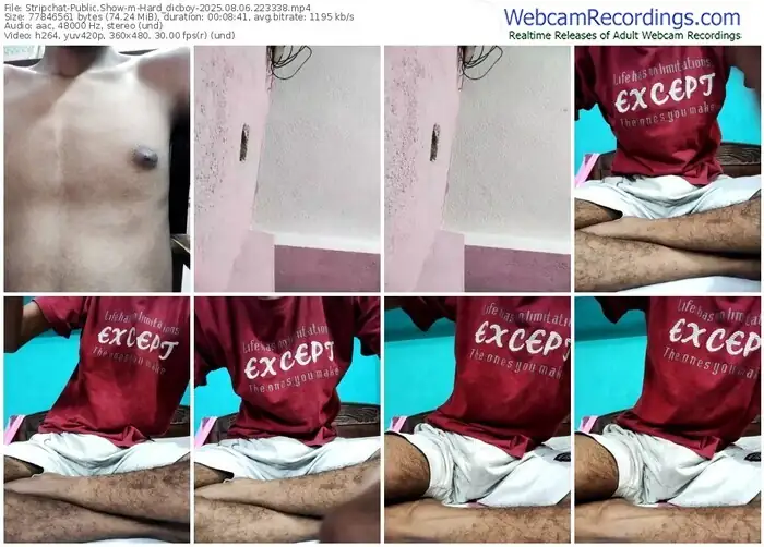 2025/08/06/stripchat-hard_dicboy-22-33-38