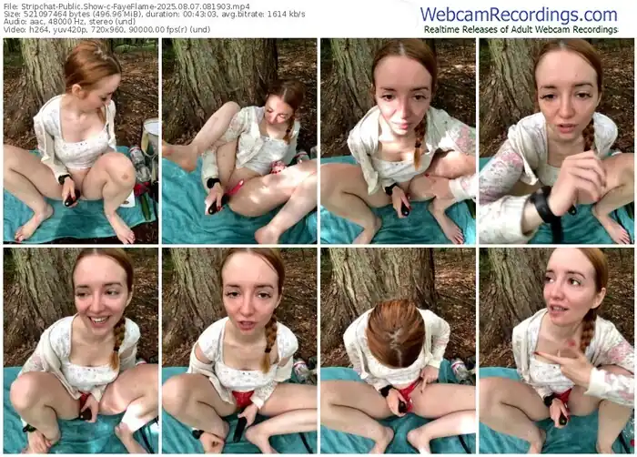 2025/08/07/stripchat-fayeflame-08-19-03