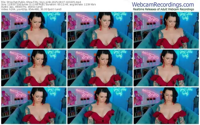 2025/08/07/stripchat-my_toys_pink-02-32-05