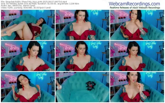 2025/08/07/stripchat-my_toys_pink-04-07-16