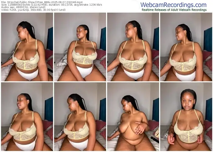 2025/08/07/stripchat-pree_888x-23-20-46