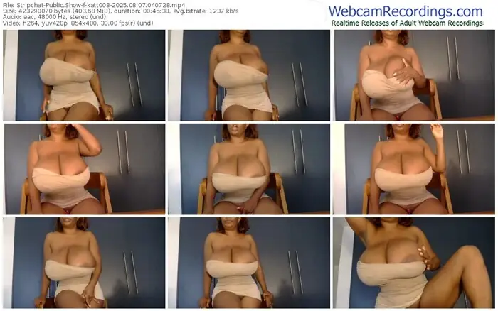 2025/08/07/stripchat-katt008-04-07-28