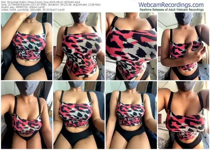 2025/08/07/stripchat-miss_lina-05-50-49