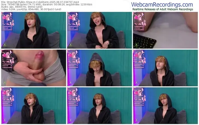 2025/08/07/stripchat-colestorm-03-47-07