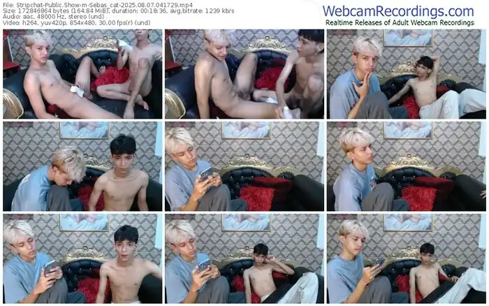 2025/08/07/stripchat-sebas_cat-04-17-29