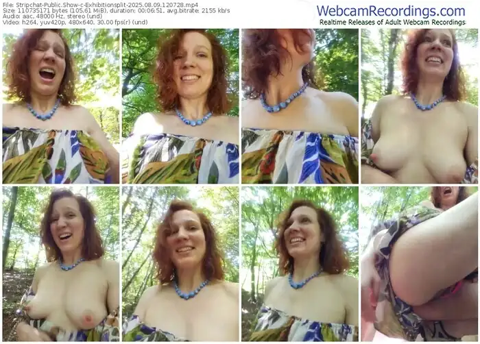 2025/08/09/stripchat-exhibitionsplit-12-07-28