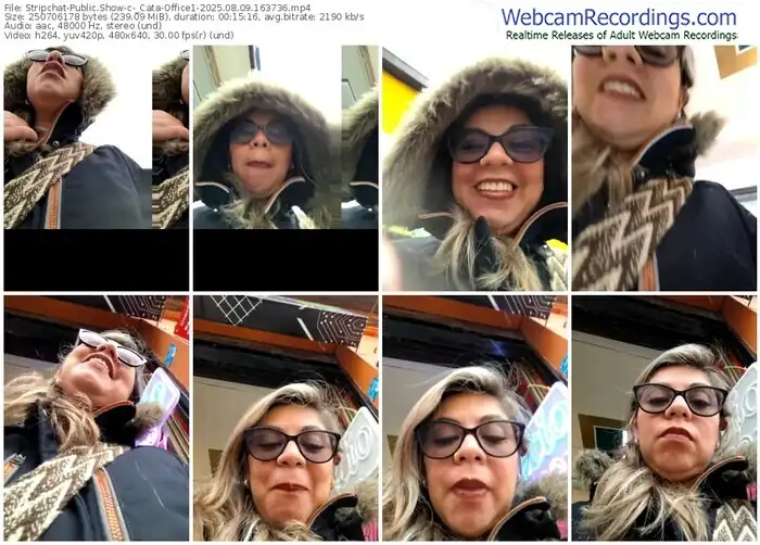 2025/08/09/stripchat-_cata-office1-16-37-36