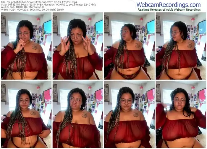 2025/08/09/stripchat-ectorius-17-30-31