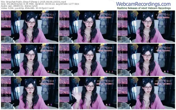 2025/08/09/stripchat-sheep-1-13-02-31