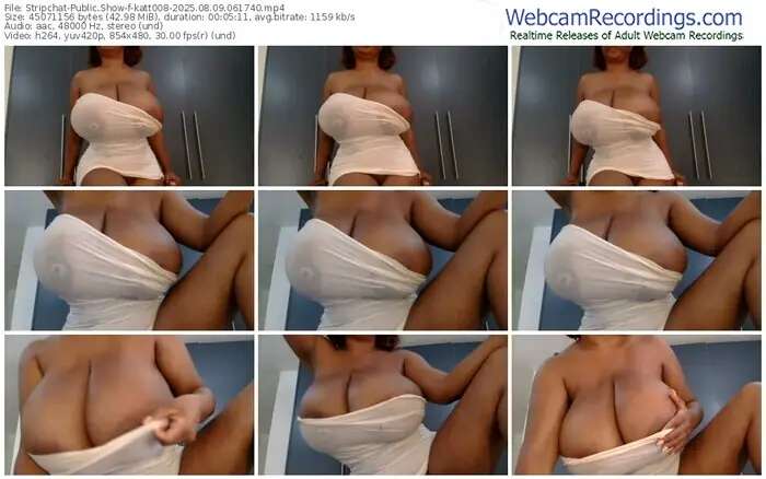 2025/08/09/stripchat-katt008-06-17-40