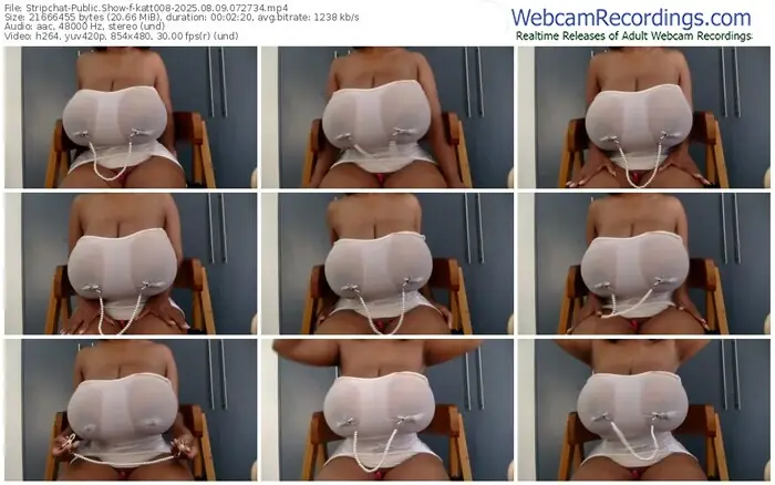 2025/08/09/stripchat-katt008-07-27-34