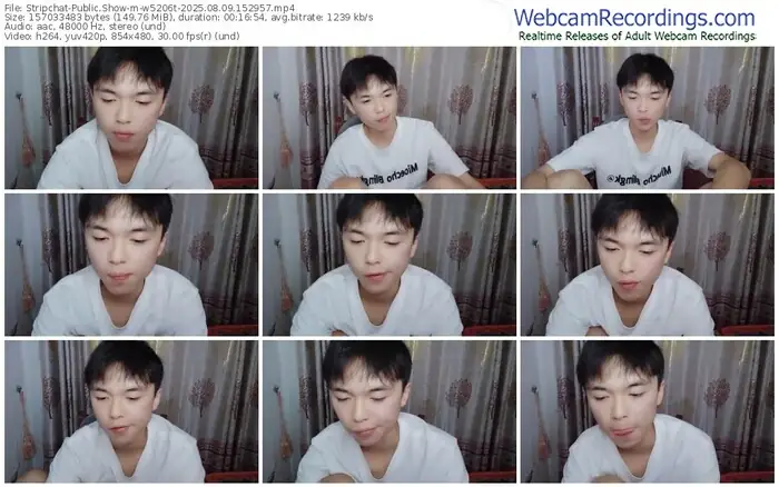 2025/08/09/stripchat-w5206t-15-29-57