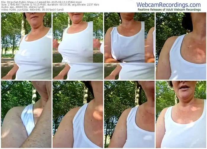 2025/08/10/stripchat-carpedi3m-16-58-42