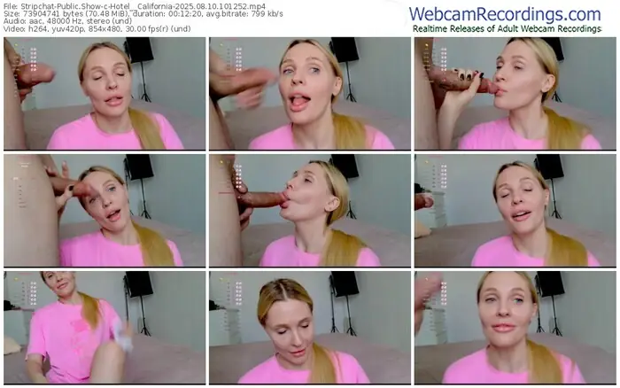 2025/08/10/stripchat-hotel__california-10-12-52