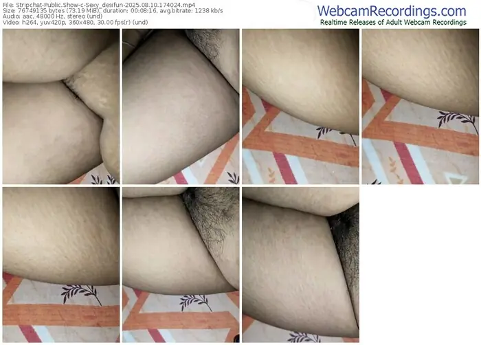 2025/08/10/stripchat-sexy_desifun-17-40-24