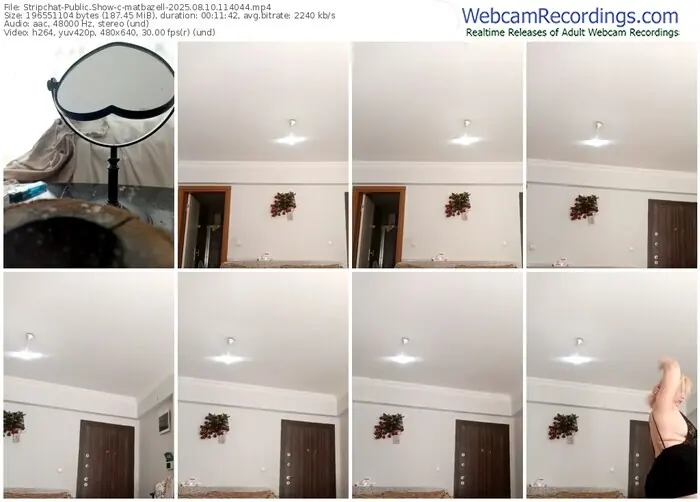 2025/08/10/stripchat-matbazell-11-40-44