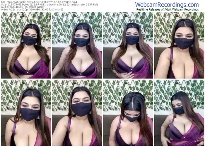 2025/08/10/stripchat-bold-cat-17-58-36