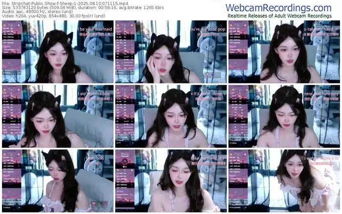 2025/08/10/stripchat-sheep-1-07-11-15