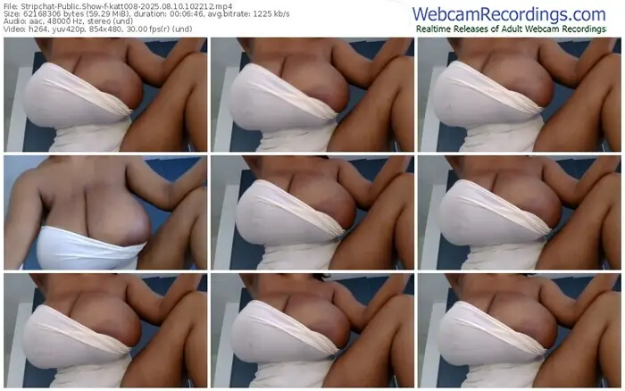 2025/08/10/stripchat-katt008-10-22-12