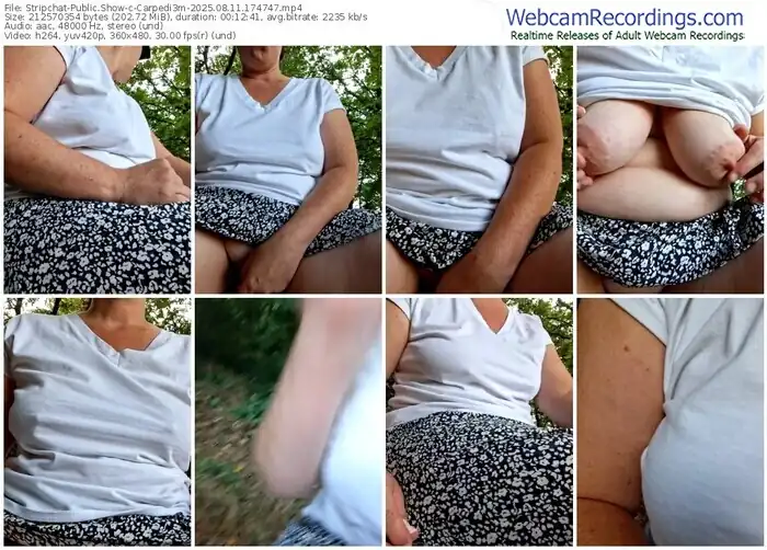 2025/08/11/stripchat-carpedi3m-17-47-47