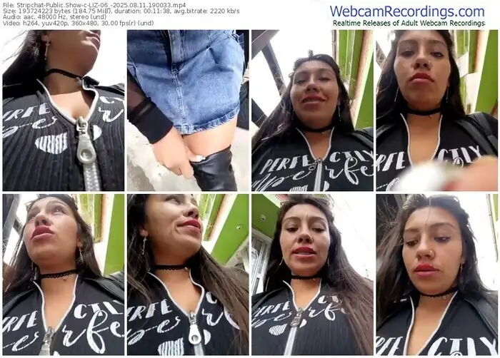 2025/08/11/stripchat-liz-06_-19-00-33