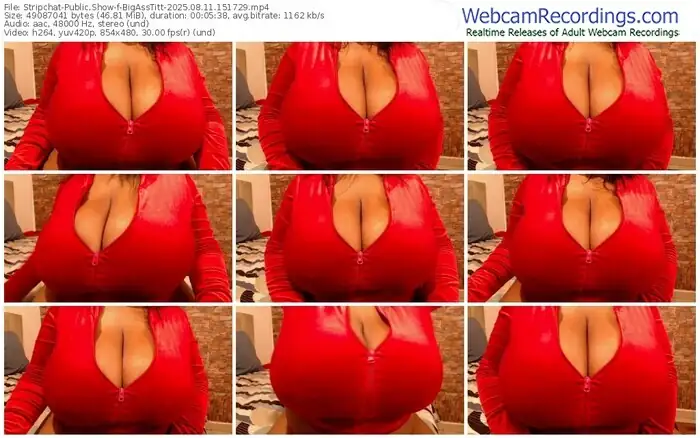 2025/08/11/stripchat-bigasstitt-15-17-29