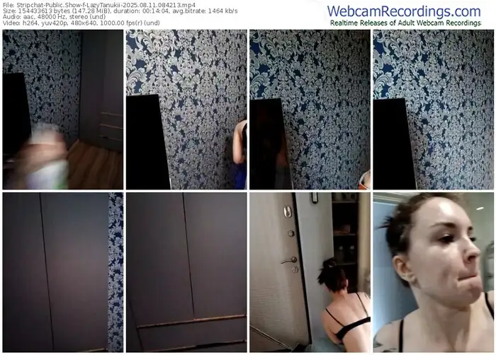 2025/08/11/stripchat-lazytanukii-08-42-13