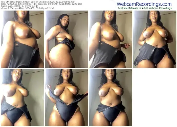 2025/08/11/stripchat-spicey-cheekssx-00-56-06