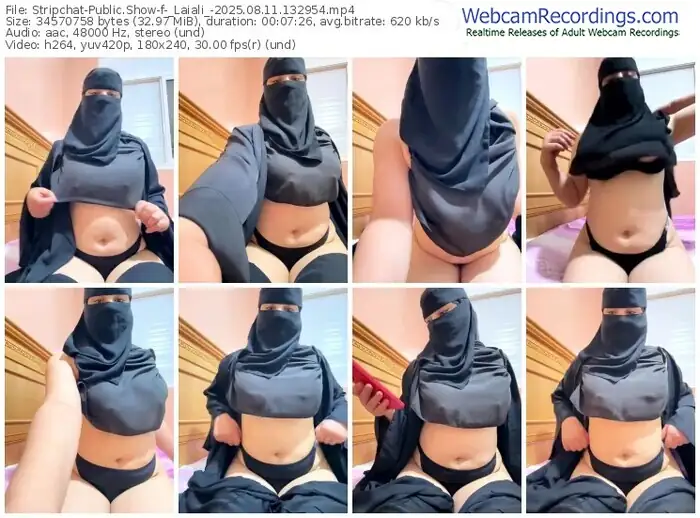 2025/08/11/stripchat-_laiali_-13-29-54