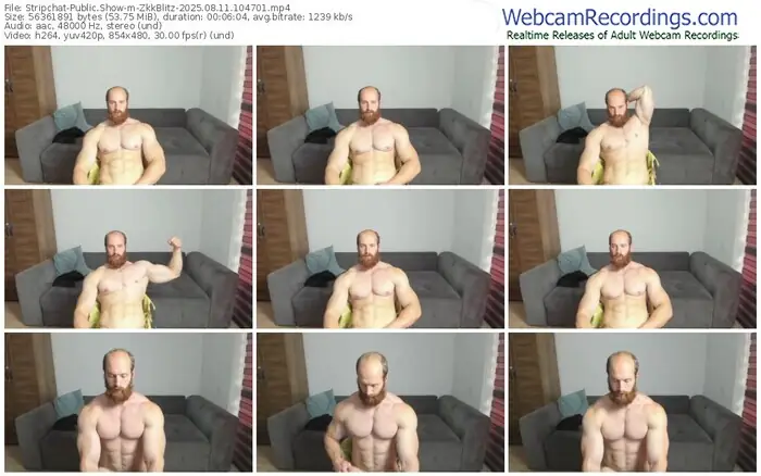 2025/08/11/stripchat-zkkblitz-10-47-01