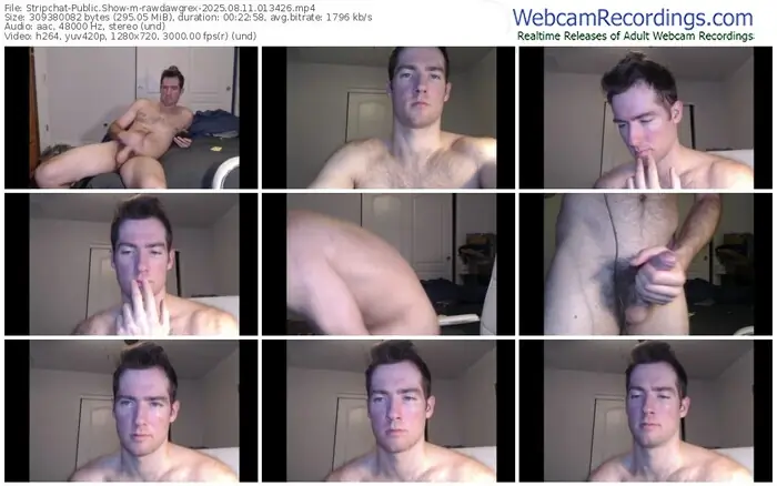 2025/08/11/stripchat-rawdawgrex-01-34-26