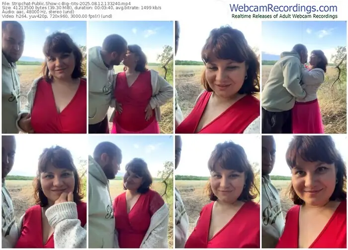 2025/08/12/stripchat-big--tits-13-32-40