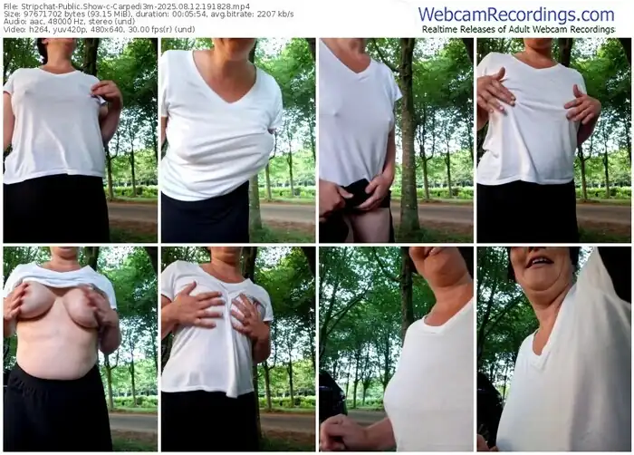 2025/08/12/stripchat-carpedi3m-19-18-28