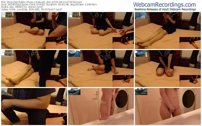 2025/08/12/stripchat-kakushi_dori-07-31-58
