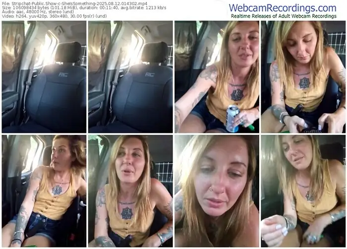 2025/08/12/stripchat-sheissomething-01-43-02
