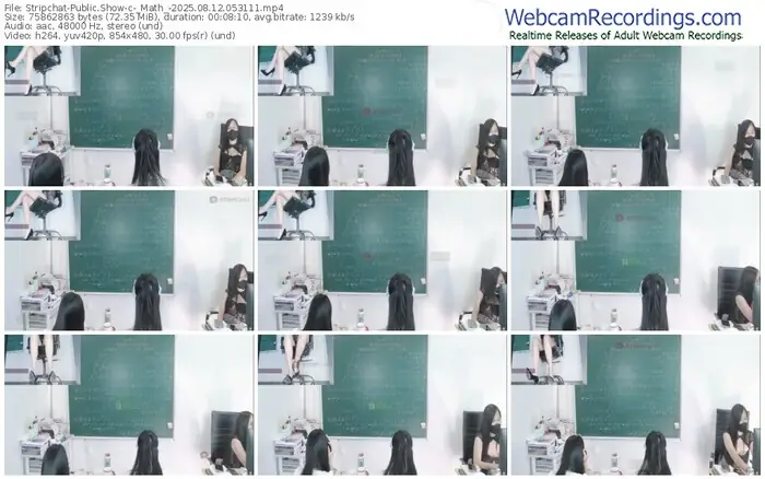 2025/08/12/stripchat-_math_-05-31-11