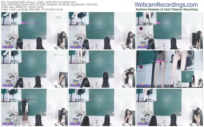 2025/08/12/stripchat-_math_-10-18-49