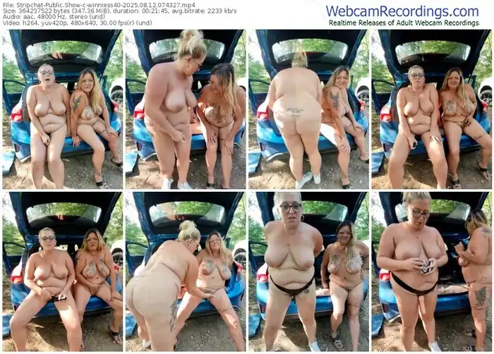 2025/08/12/stripchat-winniess40-07-43-27